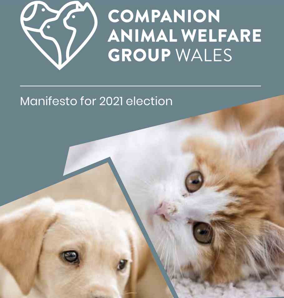 CAWGW launch manifesto for the Senedd Election 2021